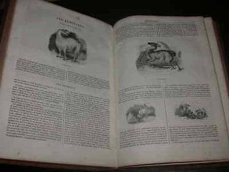 5 titres reliés : - Le jardin des plantes. Description et moeurs des mammifères de la ménagerie et du muséum d'histoire naturelle par M.J. Boitard ...
