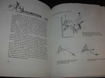 Rêveries Equestres