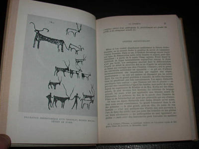 Histoire Des Animaux