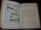 Histoire Des Animaux. LEWINSOHN (Richard)