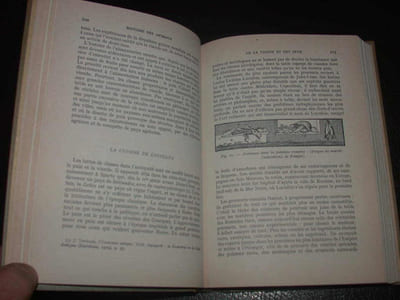 Histoire Des Animaux