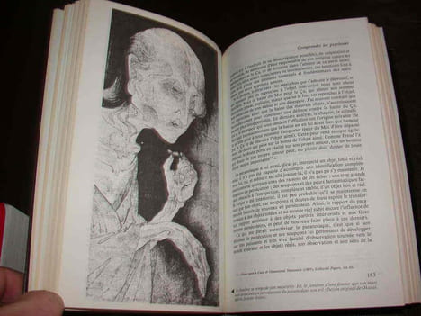 Les Psychoses. La Perte De La Réalité. undefined