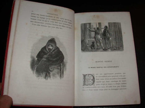 Les Hôtes du Logis. BERTHOUD (S. Henry)