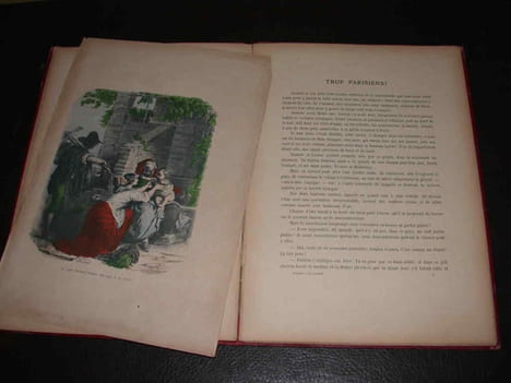 Les Enfants aux Champs. GUERRIER DE HAUPT (Marie)