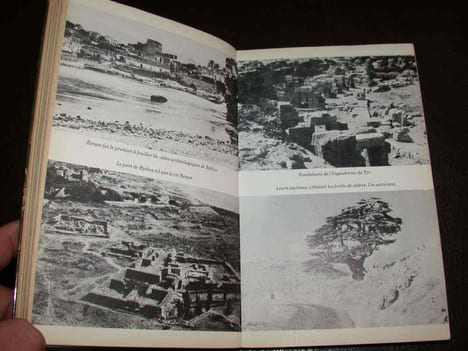 Les Phéniciens. L'antique royaume de la pourpre. HERM (Gerhard)