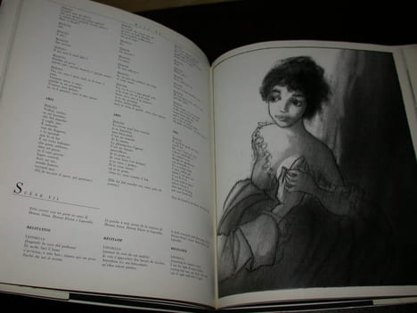 Don Juan. Texte intégral de l'Opéra de Mozart illustré par Barbe. undefined