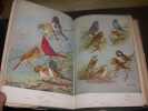 A natural history of American Birds of Eastern and Central North America. EDWARD HOWE FORBUSH  JOHN RICHARD MAY
