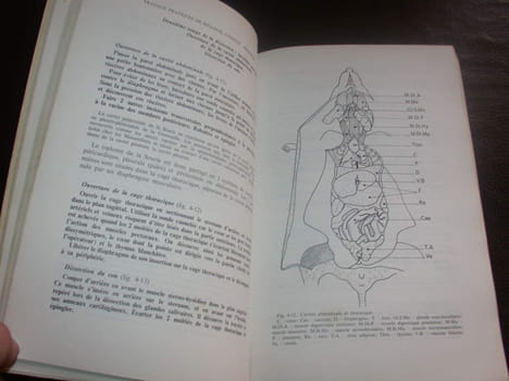Travaux pratiques de biologie animale. BEAUMONT (A.) CASSIER (P.)