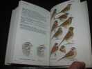 Guide des oiseaux accidentels et rares en Europe. ALSTROM (Per)  COLSTON (Peter)