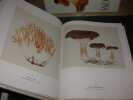 Les champignons. FABRE (Jean-Henri)