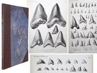 Monograph of the fossil Squalidae of the United States & New species of Myliobates from the Eocene of South Carolina, with other genera not heretofore observed in the United States
