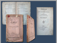 Tableau des corps organisés fossiles, précédé de remarques sur leur pétrification.