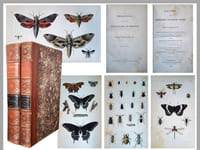 Treatise on some of the insects injurious to vegetation.
Report on the herbaceous flowering plants of Massachusetts.
Report on the quadrupeds of Massachusetts.