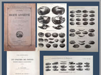 Recherches sur les otolithes des poissons. Etudes descriptives et comparative de la Sagitta des téléostéens (suite)
