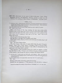 Descriptions of new species of birds of the genera VIDUA, Cuvier, EUPLECTES, Swainson, and PYRENESTES, Swainson, specimens of which are in the collection of the Academy of Natural Sciences of Philadelphia