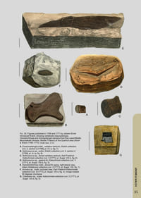 The collecting of Triassic vertebrate remains during the eighteenth century.