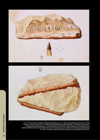 The collecting of Triassic vertebrate remains during the eighteenth century.