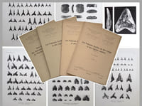 Les poissons fossiles du Bas-Congo et des régions voisines [complet en 3 parties; in 3 parts all published] + CASIER E. 1960. Note sur la collection des poissons paléocènes et éocènes de l'Enclave de Cabinda (Congo) recueillis par J. Bequaert au cours de sa mission en 1913. [1943-1960]