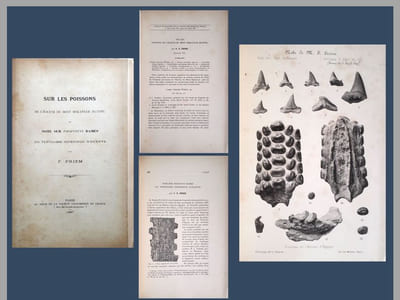 Sur les poissons de l'Eocène du Mont Mokattam (Egypte) & Note sur Propristis Dames du Tertiaire inférieur d'Egypte