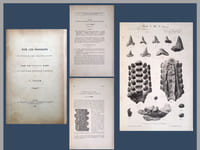 Sur les poissons de l'Eocène du Mont Mokattam (Egypte) & Note sur Propristis Dames du Tertiaire inférieur d'Egypte