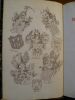 Armorial de Tournai et du Tournaisis. Texte Et Dessins.. BOZIERE Fr.-J. 
