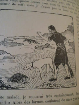 Aventures de Robinson Crusoé. Album pour les Enfants. Avec de Nombreuses illustrations en Noir dans le Texte et hors-texte en couleurs pas MABY. ...