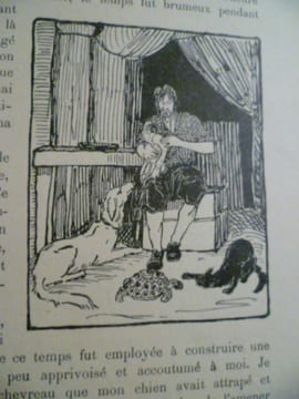 Aventures de Robinson Crusoé. Album pour les Enfants. Avec de Nombreuses illustrations en Noir dans le Texte et hors-texte en couleurs pas MABY. ...