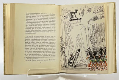 Erromango. Illustrations en couleurs de Michel Lablais.