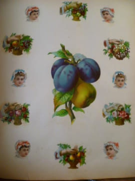 SCRAP ALBUM CHROMOLITHOGRAPHIES XIXème. undefined