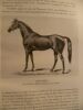 Revue des &eacute;leveurs de chevaux de pur sang. 1930.. TATTERSALL FRANCAIS