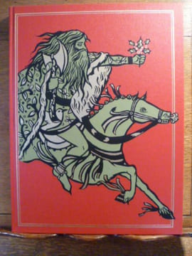 Sir Gawain and the Green Knight. Traduction de Simon Armitage. Illustrations de Diana Sudyka.. ARMITAGE Simon