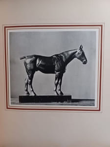 Herbert Haseltine. An exhibition of sculpture.