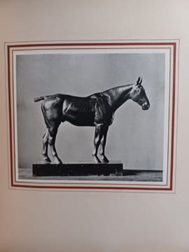 Herbert Haseltine. An exhibition of sculpture. . HASELTINE Herbert.