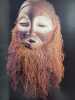 Face of the spirits. Masks from the Zaire Basin. . HERREMAN Frank, PETRIDIS Constantijn. 