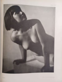 Photograms of the year, 1929, the annual review for 1930 of the world's pictorial photographic work. 