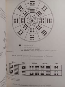 Traité pratique du Feng-Shui. Médecine chinoise du paysage et de l'habitat (Adaptation à l'occident).