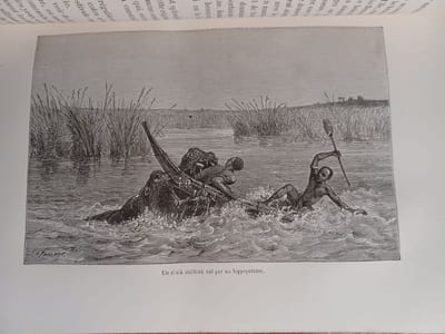 Ismailïa, récit d'une expédition dans l'Afrique centrale pour l'abolition de la traite des Noirs. Ouvrage traduit de l'anglais avec l'autorisation de l'auteur par Hippolyte Vattemare.