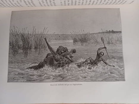 Ismailïa, récit d'une expédition dans l'Afrique centrale pour l'abolition de la traite des Noirs. Ouvrage traduit de l'anglais avec l'autorisation de ...
