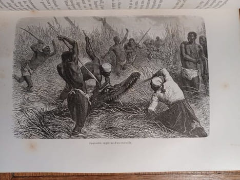 Ismailïa, récit d'une expédition dans l'Afrique centrale pour l'abolition de la traite des Noirs. Ouvrage traduit de l'anglais avec l'autorisation de ...