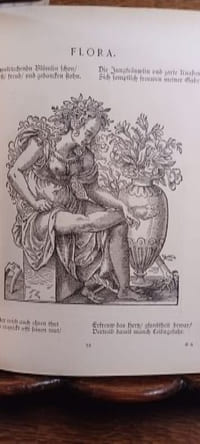 Jost Amman's Wappen- & Stammbuch. Nachdruck der Ausgabe von 1589 (= Liebhaber-Bibliothek alter Illustratoren in Facsimile-Reproduction, III. Bändchen); 