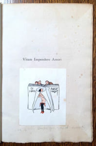 Vitam Impendere Amori. Poèmes et dessins.