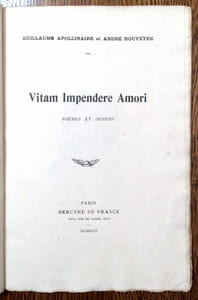 Vitam Impendere Amori. Poèmes et dessins.