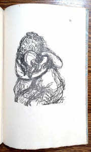 Vitam Impendere Amori. Poèmes et dessins.