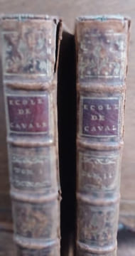 École de Cavalerie, contenant la connaissance, l'instruction et la conservation du cheval. . LA GUERINIERE François Robichon de.