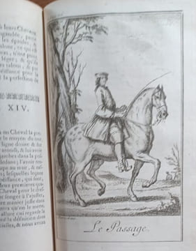 École de Cavalerie, contenant la connaissance, l'instruction et la conservation du cheval. . LA GUERINIERE François Robichon de.