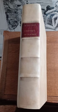 Cronique de Flandres, anciennement composée par auteur incertain et nouvellement mise en lumière  par DENIS SAUVAGE de Fontenailles en Brie, ...