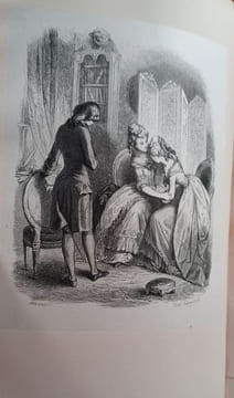 Julie ou la Nouvelle Héloïse par J.-J. Rousseau. Vignettes par MM. Tony Johannot, E. Wattier, E. Lepoitevin, H. Baron, Karl Girardet, C. Rogier, etc. ...
