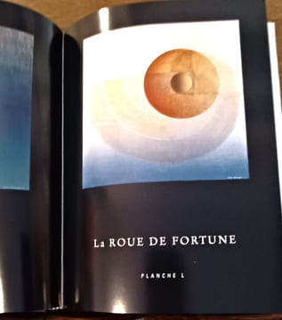 Le Tarot du Fou. . BEHAEGHEL Julien.