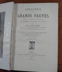 Chasses aux grands fauves pendant la traversée du continent noir du Zambèze au Congo français. 