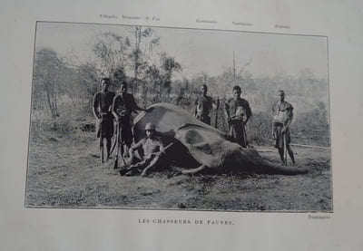 Chasses aux grands fauves pendant la traversée du continent noir du Zambèze au Congo français. 